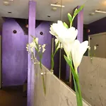 Victorie מלון 3*